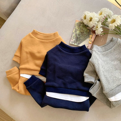 Pet Clothes for Small Dogs - Fall/Winter 2026 Collection