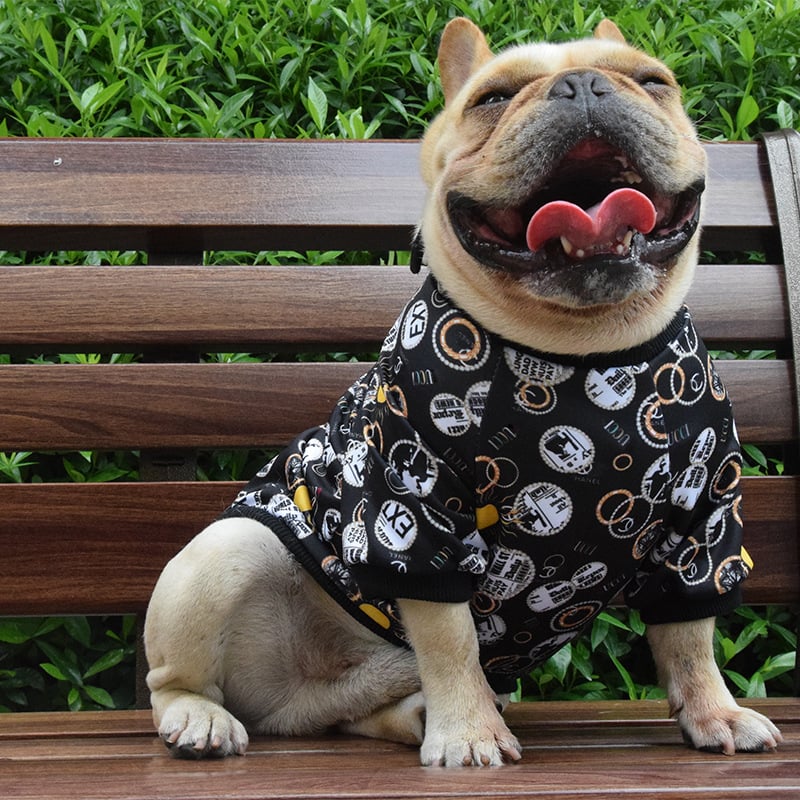 Seasonal Style Dog Outfits