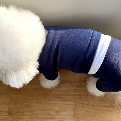 Pet Clothes for Small Dogs - Fall/Winter 2026 Collection