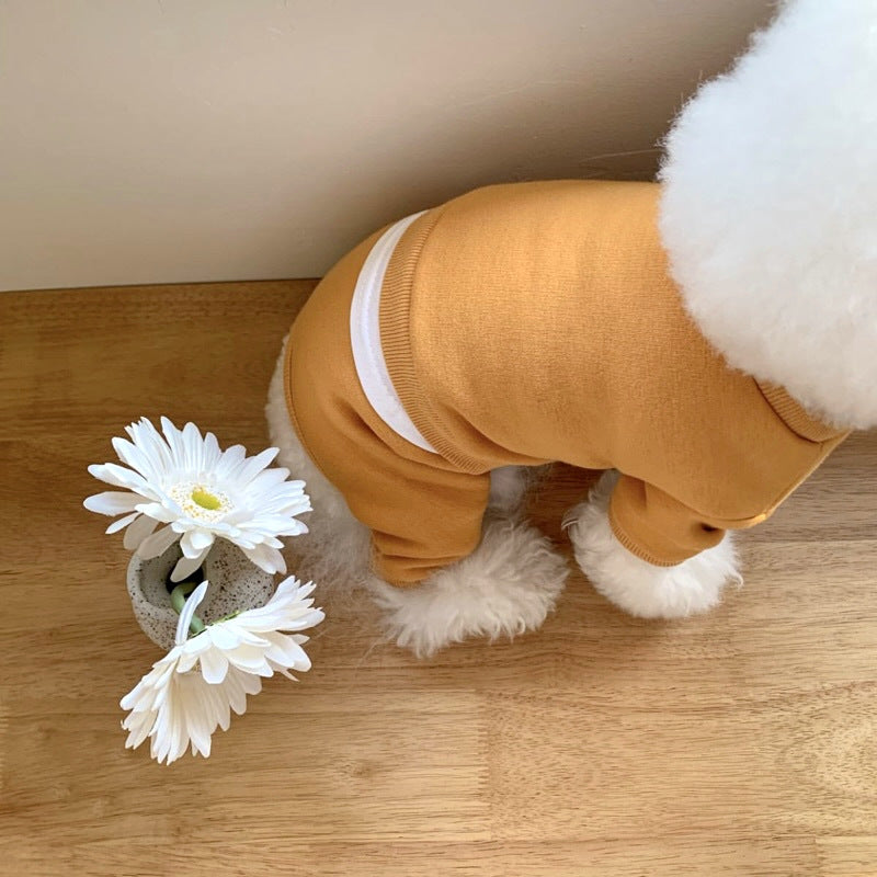 Pet Clothes for Small Dogs - Fall/Winter 2026 Collection
