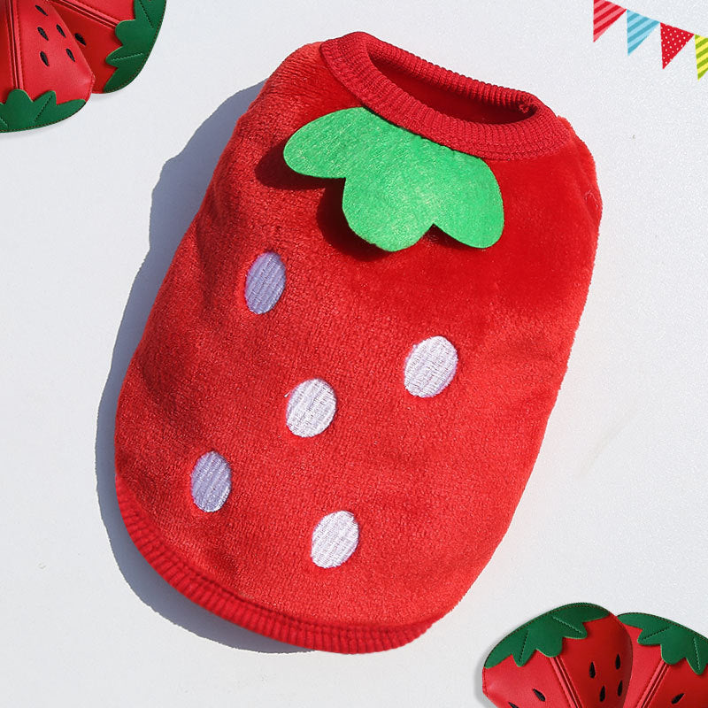 Strawberry Vest For dogs