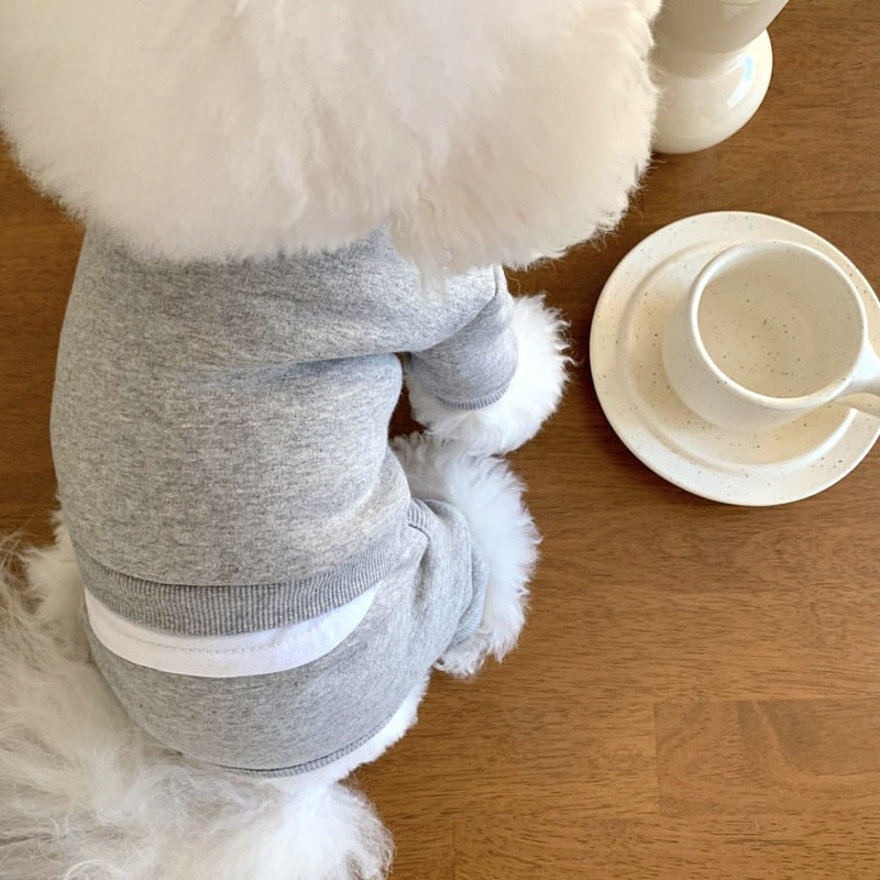 Pet Clothes for Small Dogs - Fall/Winter 2026 Collection