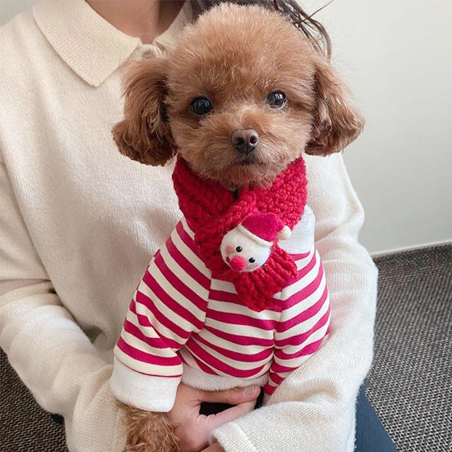 Striped Christmas Dog Clothes
